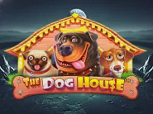 The Dog House